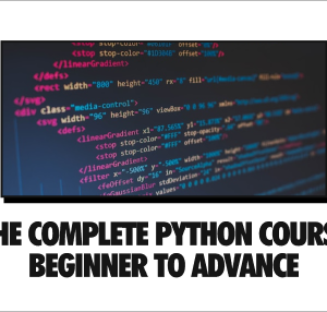 Master Python and Transform Your Career with Python Prodigy: Step-by-Step from Novice to Ninja